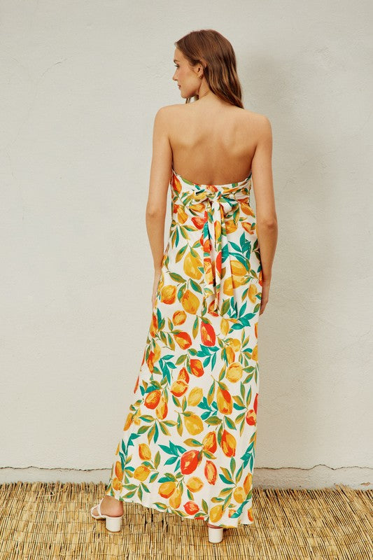 Gabbi Fruit Print Strapless Tie Back Maxi Dress