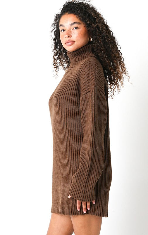 Odette Ribbed Turtle Neck Long Sleeve Sweater Dress - Brown