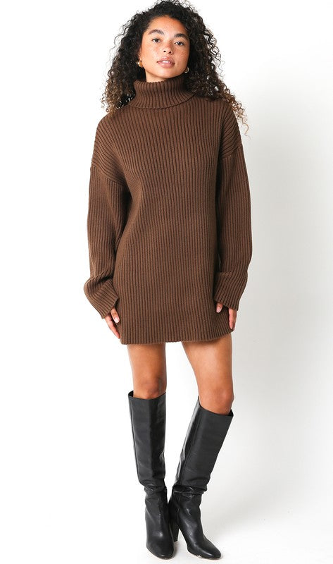 Odette Ribbed Turtle Neck Long Sleeve Sweater Dress - Brown