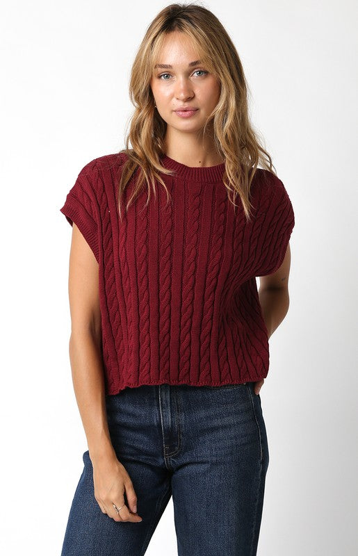 Dorian Sleeveless Cable Knit Sweater Top