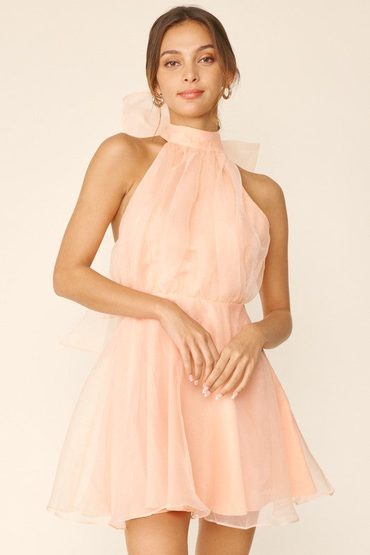 Catherine Halter Bow Detail Mini Dress Catherine Halter Bow Detail Mini Dress