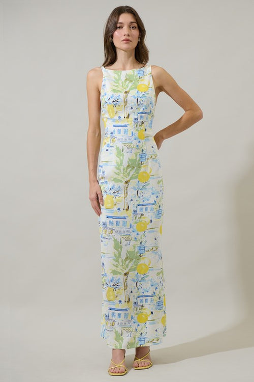 Cathy Summer Print Open Back Maxi Dress