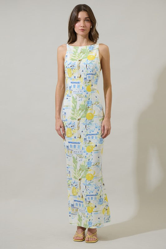 Cathy Summer Print Open Back Maxi Dress