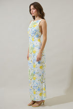 Cathy Summer Print Open Back Maxi Dress