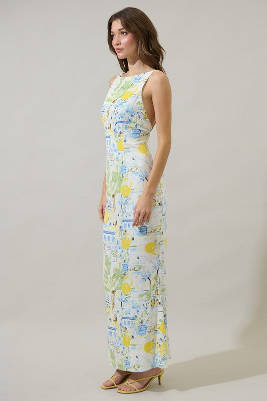 Cathy Summer Print Open Back Maxi Dress