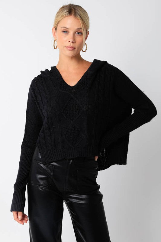 Leila Hoodie Cable Knit Sweater - Black