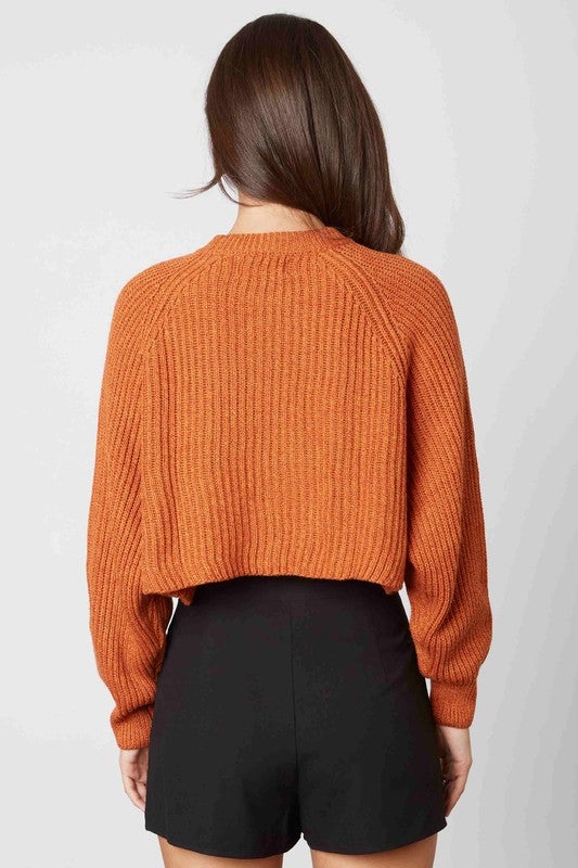 Jewel Crop Knit Sweater - Amber