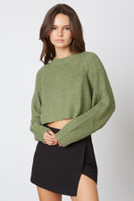 Jewel Crop Knit Sweater - Matcha